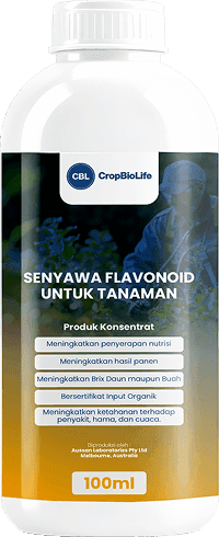 partner product 1